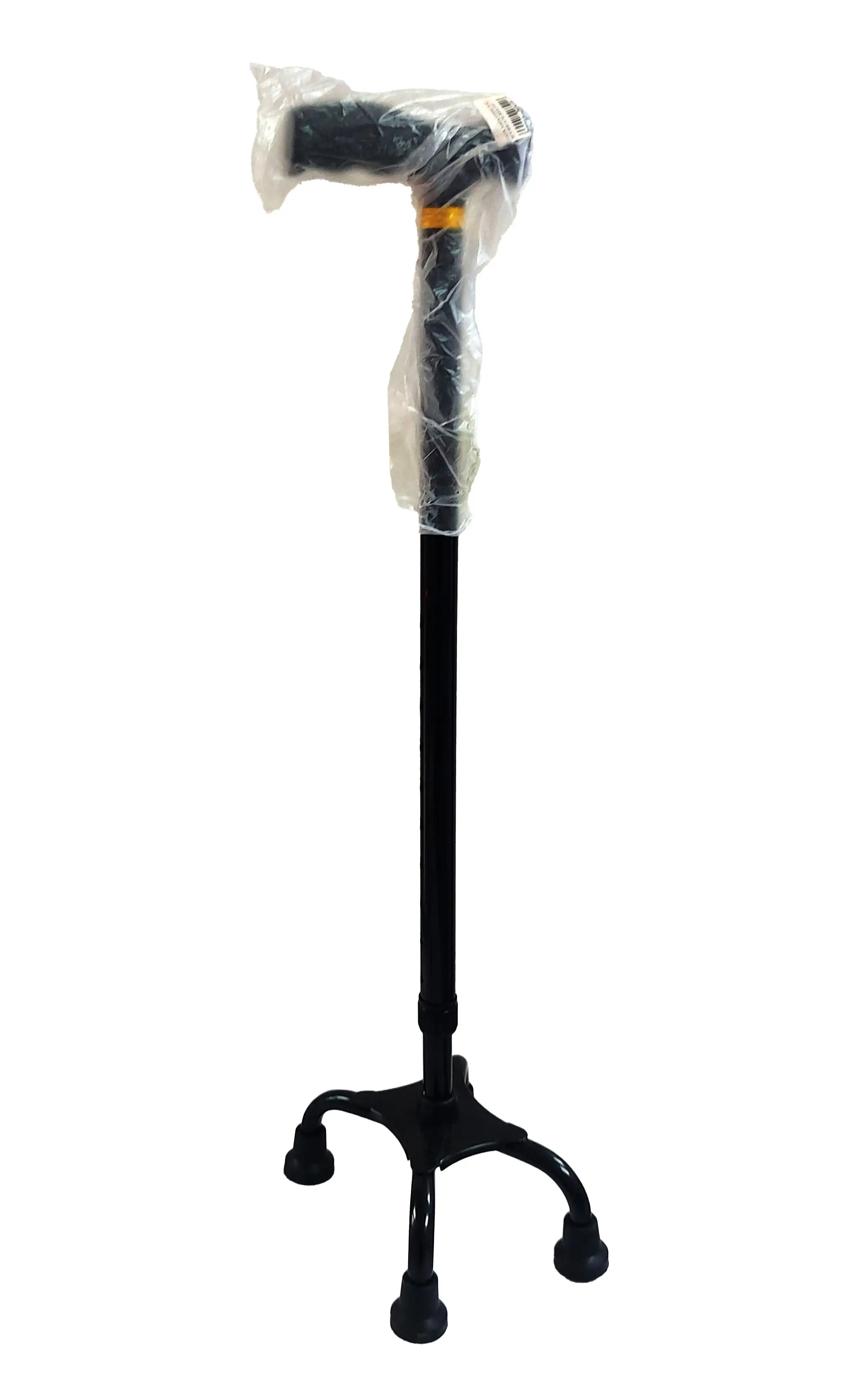 Silviya Sent-ning oyoq fetishi pornosi